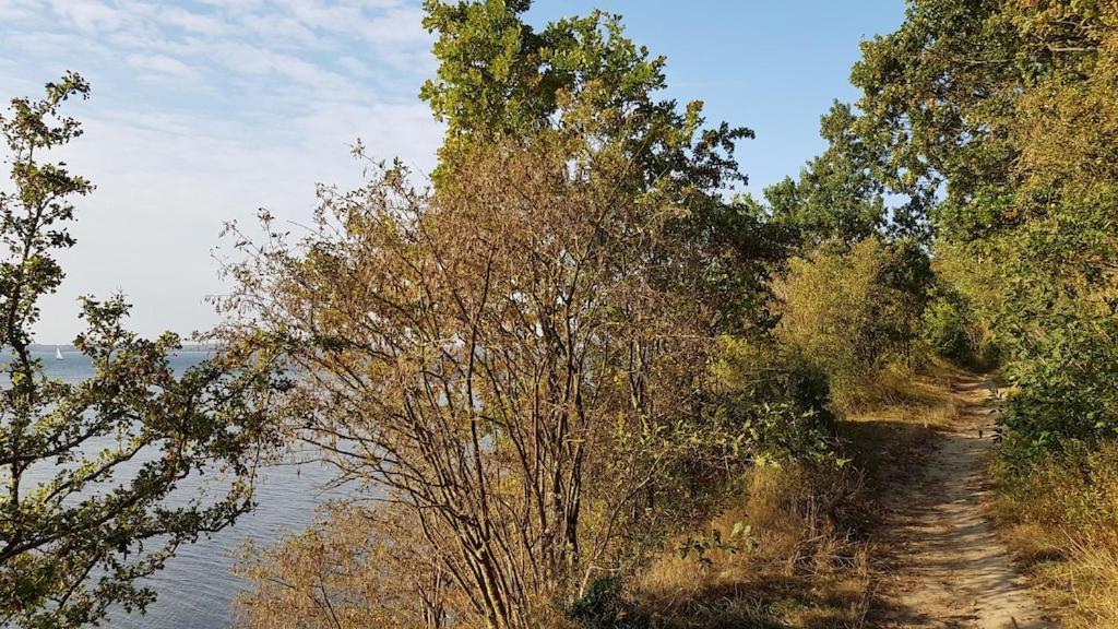 Ferienwohnung Seeblick Altefähr Eksteriør billede